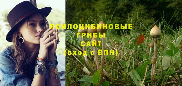 эйфоретик Осташков