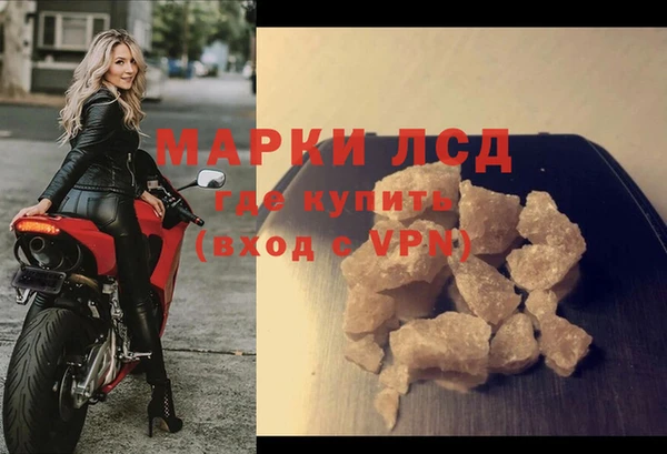 spice Осинники