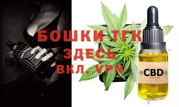 эйфоретик Осташков