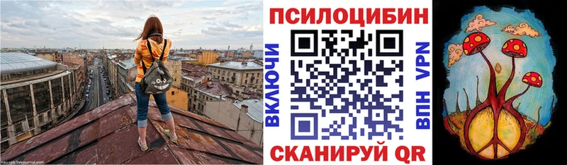 Псилоцибиновые грибы GOLDEN TEACHER  Полесск 